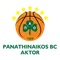 Atėnų Panathinaikos
